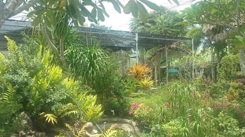 Wangtapee Gardencenter
