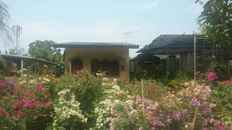 Wangtapee Gardencenter - 3