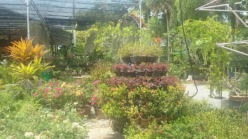 Wangtapee Gardencenter - 4