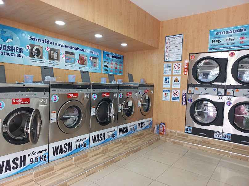 Whale​ be​ Wash​ ซัก-อบ-ดี - 2