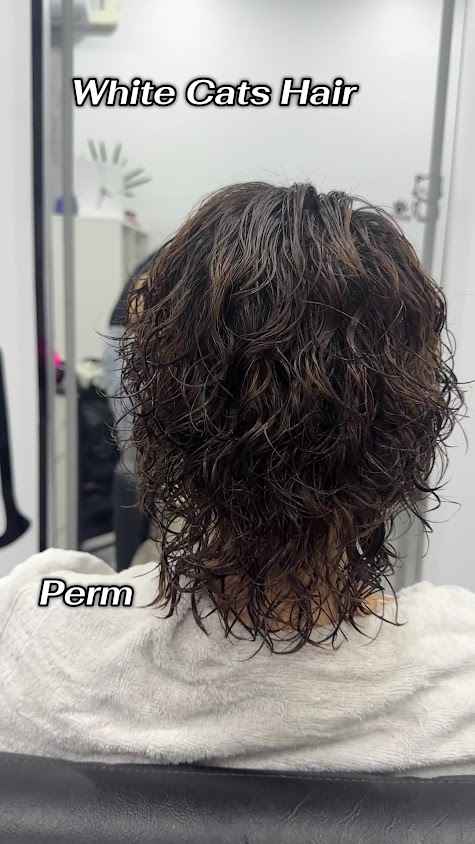 White Cats Hair ร้านทำผม ไวท์แคท