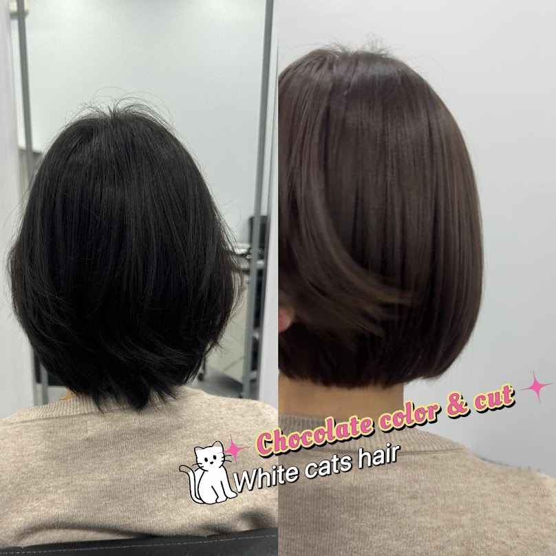White Cats Hair ร้านทำผม ไวท์แคท - 3