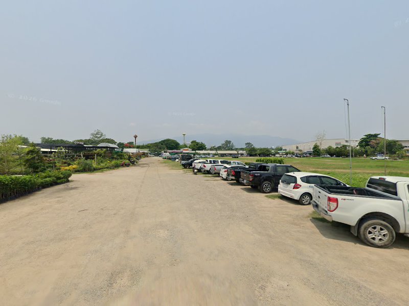Wonder garden ดอกไม้ประดิษฐ์ - 4