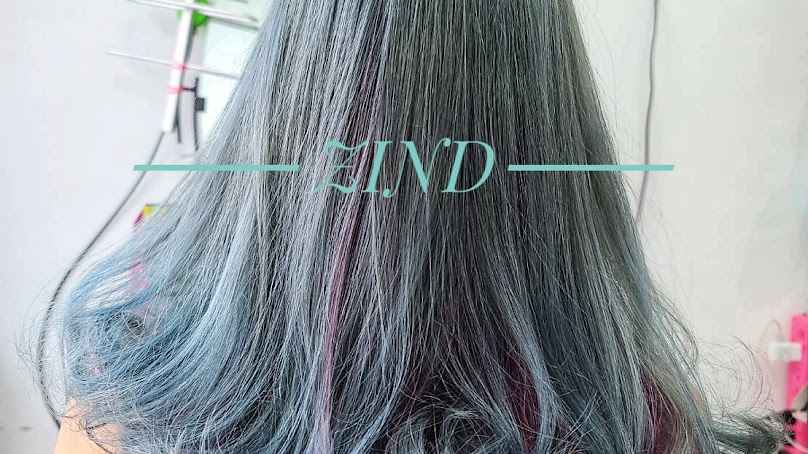 ZIND salon - 1