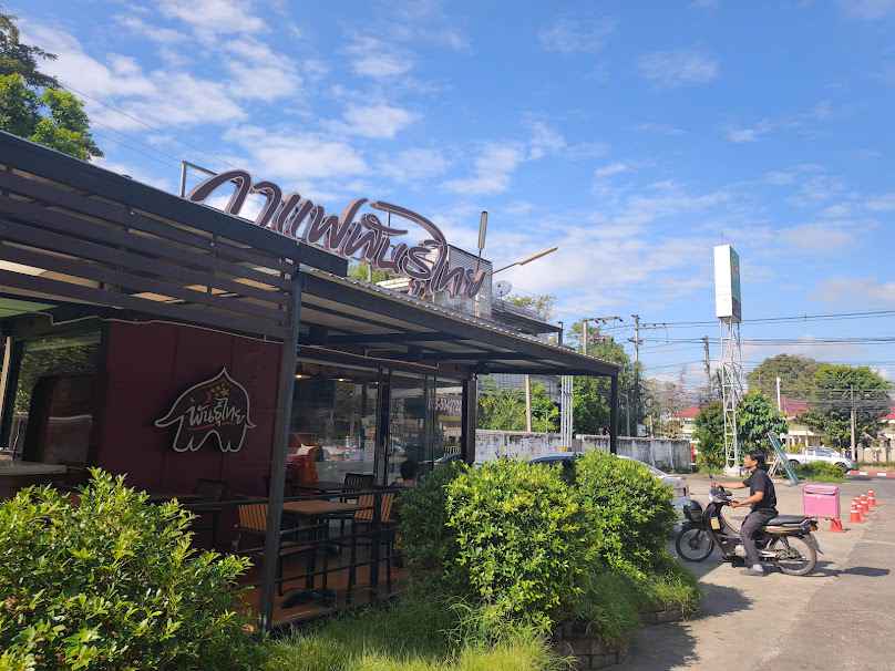 กาแฟพันธุ์ไทยสาขาสันป่าตอง3 Chiang Mai