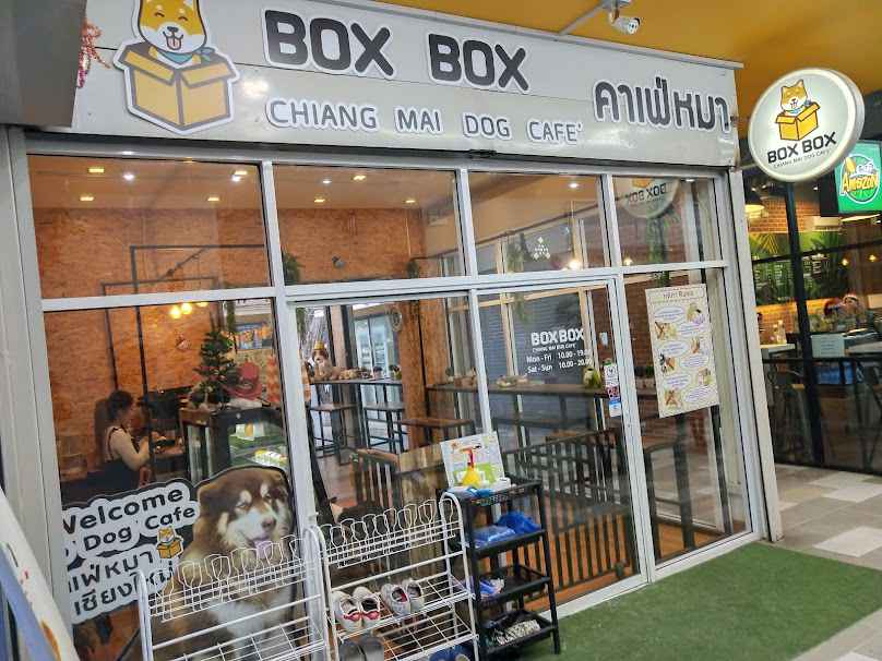 Dog's Cafe Chiang Mai