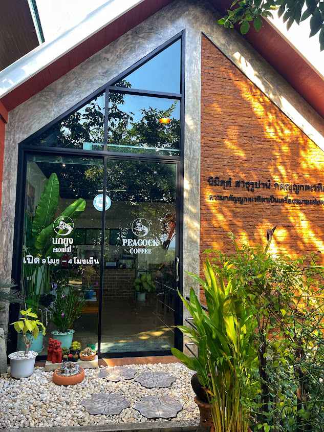 Peacock Coffee Lamphun