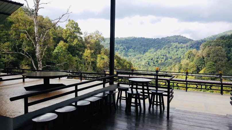 Ping Doi Coffee Chiang Mai - 1