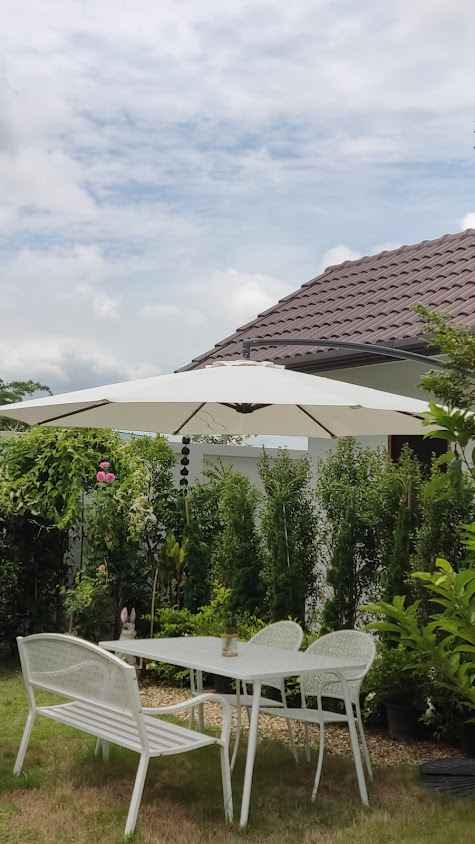ร้านกาแฟสถานีแมว Cats Station Café Chiang Mai
