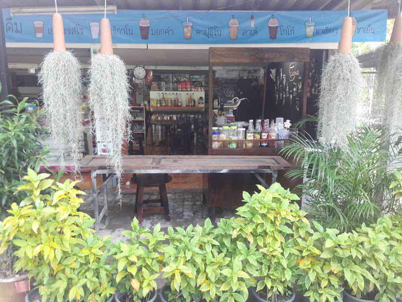 License Coffee Chiang Mai