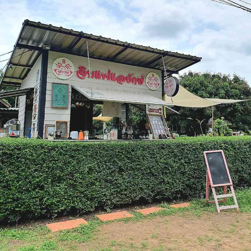 ร้านจิบแฟแลยักษ์ Chiang Mai