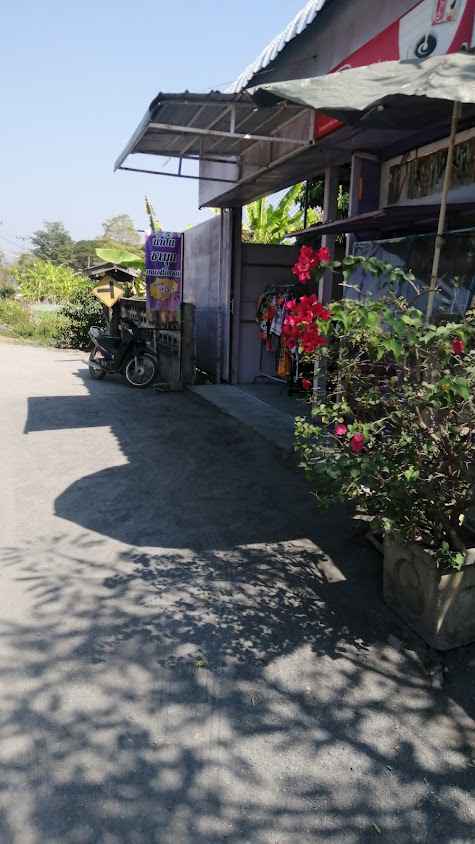 Purple Color Shop Chiang Mai