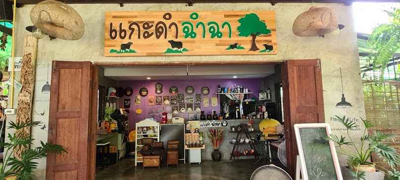 ร้านแกะดำฉำฉา Chiang Mai