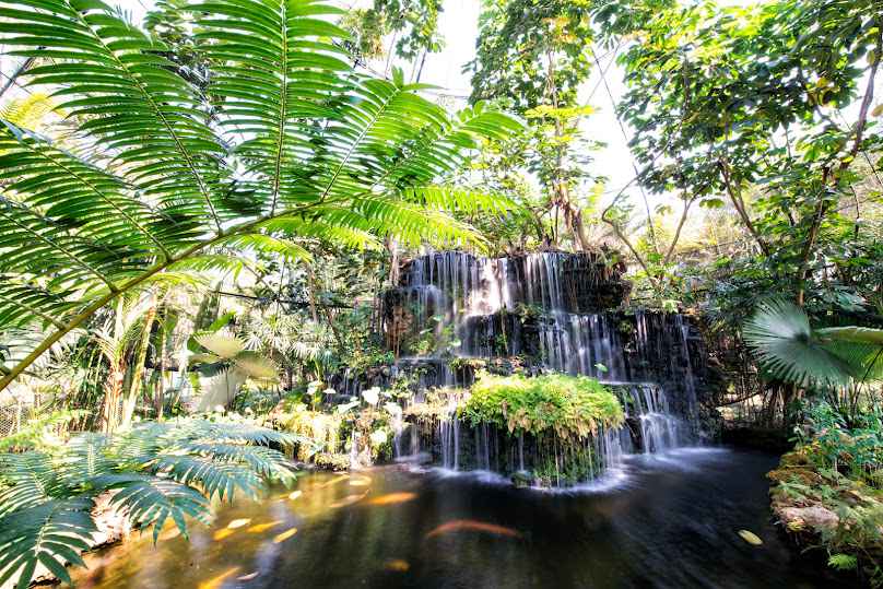 สวนพฤกษศาสตร์ทวีชล Tweechol Botanic Garden Chiang Mai