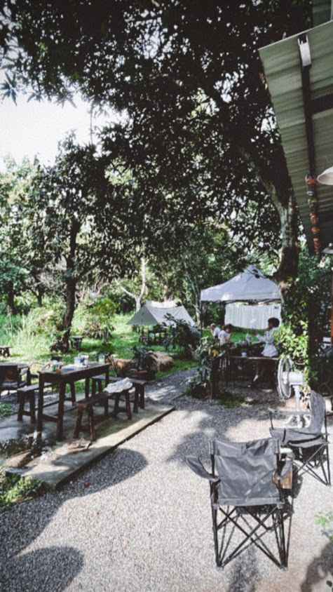 Adirek Coffee Maker Chiang Mai