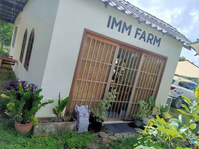 อิมม์ฟาร์ม Imm farm Lamphun