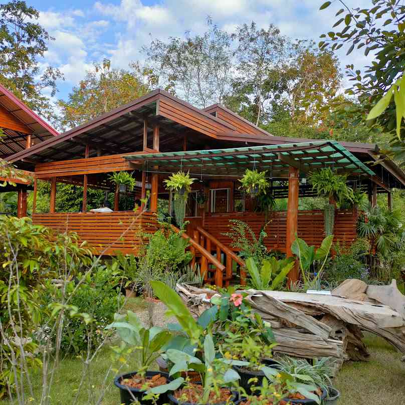 Imnam Cafe Chiang Mai - 1