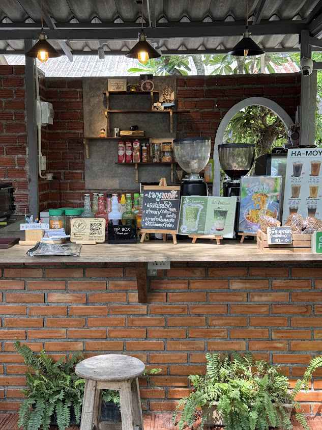 ฮามอย กาแฟ&ต้นกล้าสมุนไพร Chiang Mai
