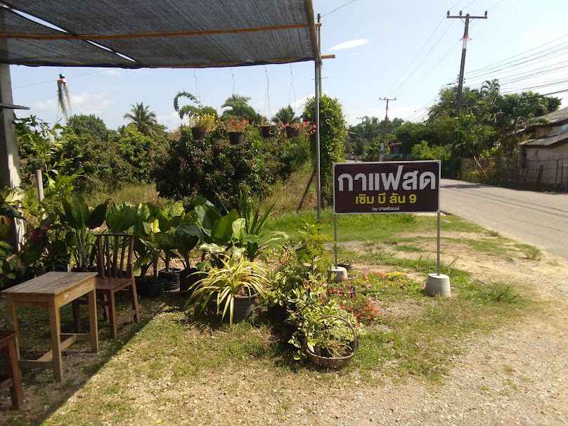 Seem Bee Lan Fresh Coffee Chiang Mai