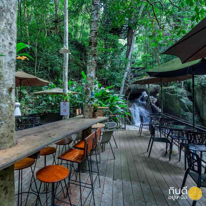 เทดดู้คอฟฟี่ แม่กำปอง Chiang Mai
