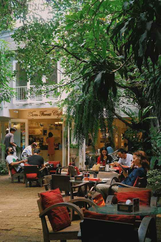 Fernforest Cafe Chiang Mai