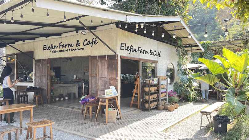 Elfin Farm And Cafe Chiang Mai - 1