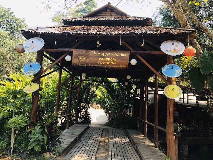 Pangrom Coffee Farm Chiang Mai - 1