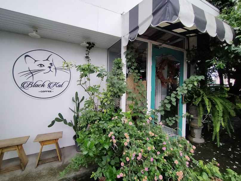 Black Kat Coffee Chiang Mai