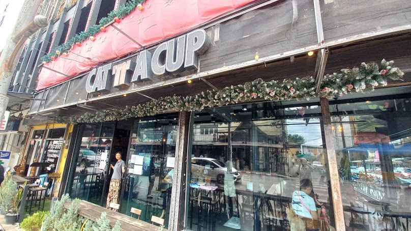CAT 'n' A CUP Cat Cafe Chiang Rai