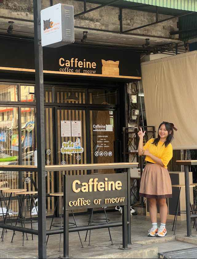 Caffeine Coffee or Meow Lamphun