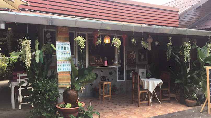 Cat Coffee Chiang Mai