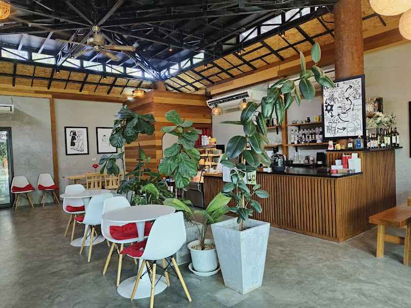 Daylight Coffee roaster Chiang Mai