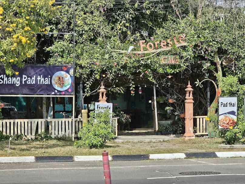 Foreste coffee Chiang Rai