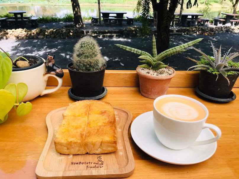 HomDoiIntr Tree Cafe ฮ่อมดอยอินทร์ทรีคาเฟ่ Chiang Mai