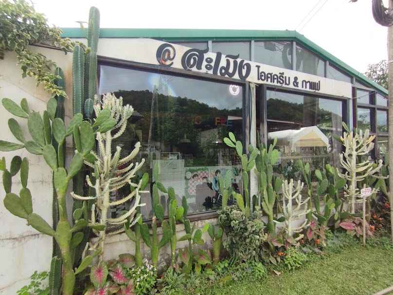 Ice Cream Café At Samoeng Chiang Mai