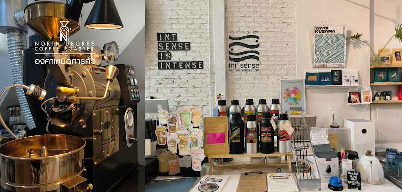 Int Sense X North Degree Coffee Roaster Chiang Mai