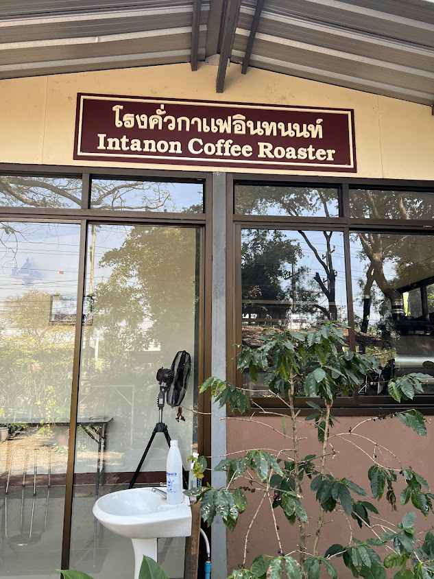 Intanon Coffee Chiang Mai - 1