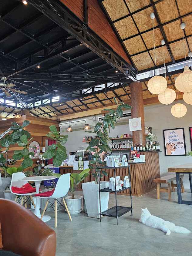 Memori Cafe - メモリ สาขา 2 Chiang Mai