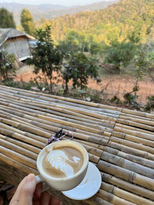 Ming coffee Doy and ice cream Chiang Mai