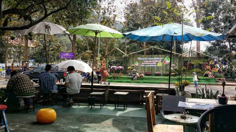 Monkey Cafe Chiang Mai