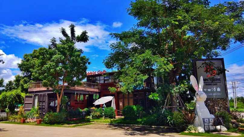 Papa's Home & Rabbit Cafe Chiang Mai - 1