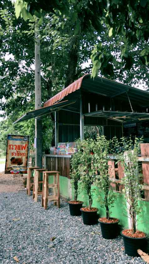 Riverside Coffee Chiang Rai
