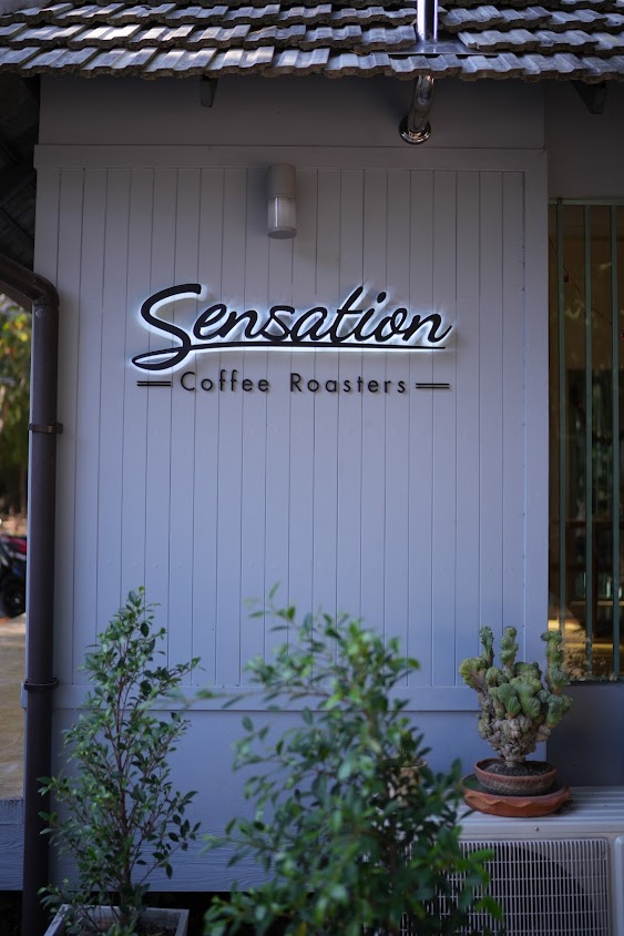 Sensation Coffee Roasters Chiang Mai - 1