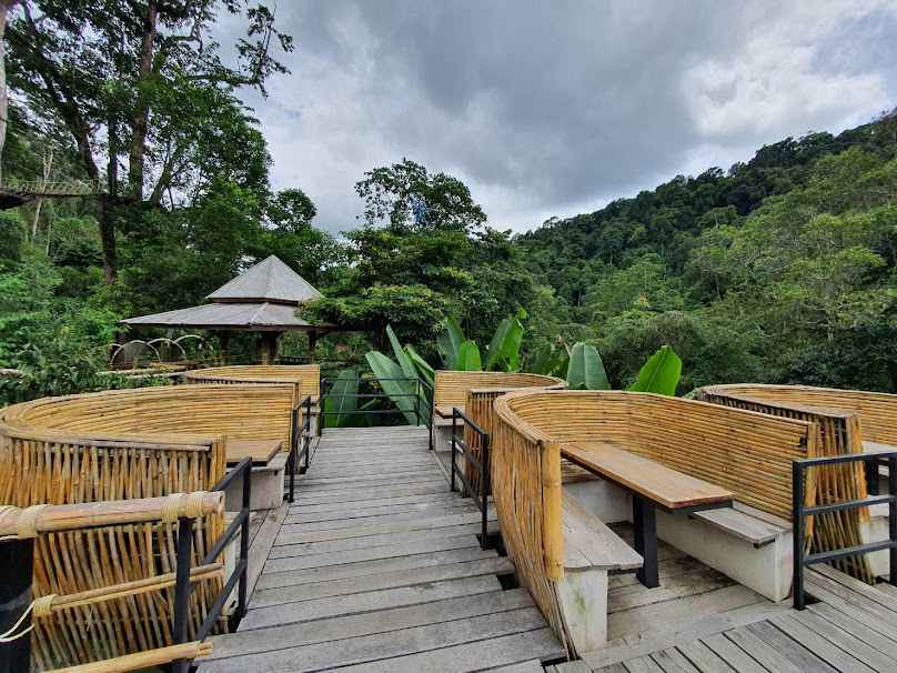 Sky Hawk Cafe' Chiangmai Chiang Mai - 1