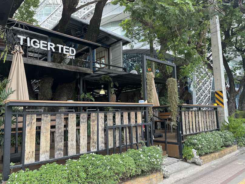 Tiger Ted Cafe Chiang Mai