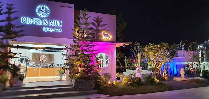 Tungtong Cafe Coffee And Milk Lamphun