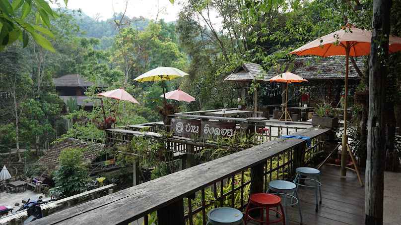 Ylife ไว้ลาย Chiang Mai