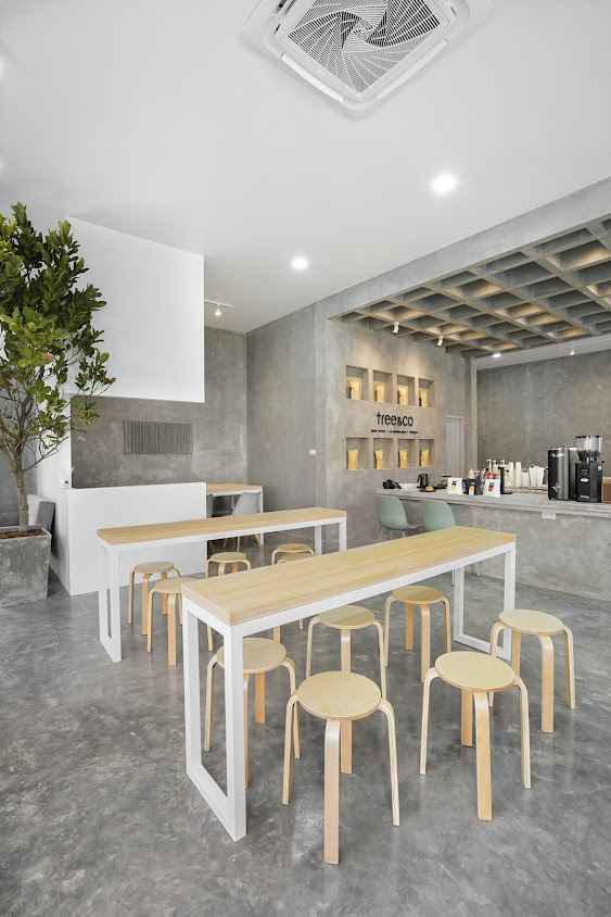 Tree&Co Chiang Mai